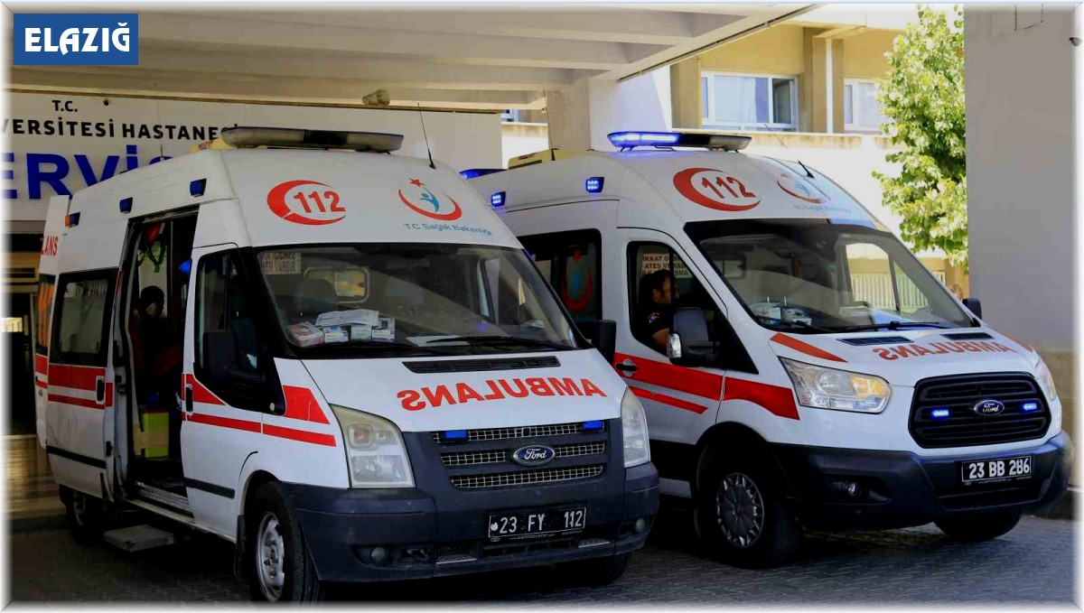 Tabancasının bakımını yaparken annesini yaraladı