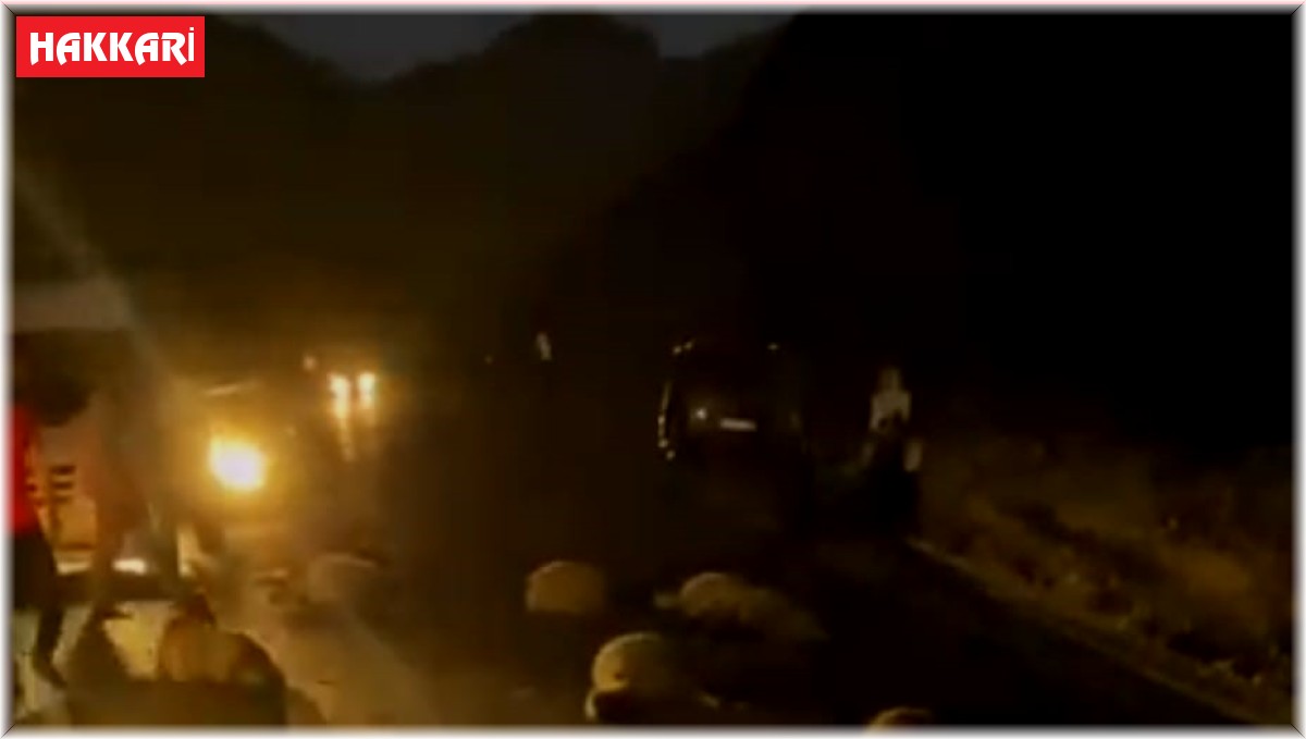 Taksiler koyun sürüsüne daldı: 30 hayvan telef oldu