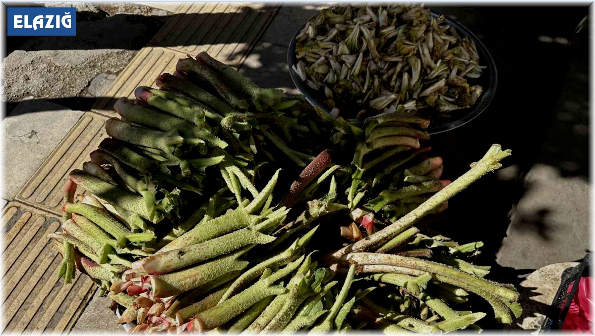 Tam bir şifa deposu: Doğunun muzu 'ışkın' tezgahlarda yerini aldı