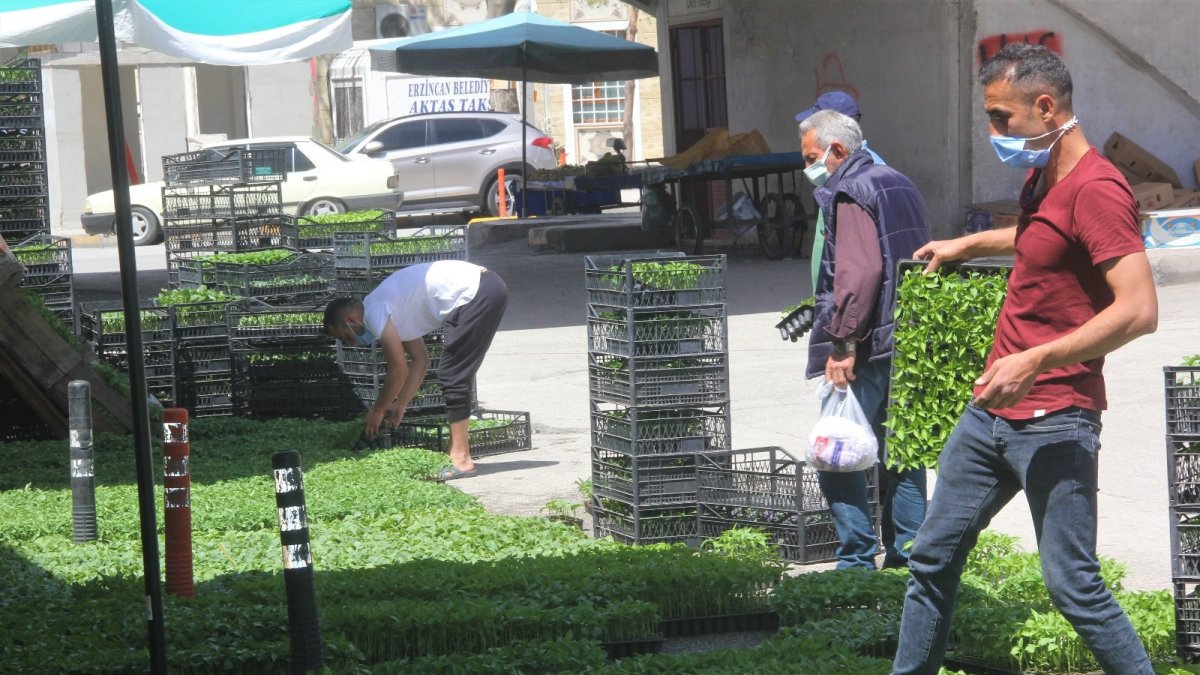 Tam kapanmada fide üreticileri iş başında