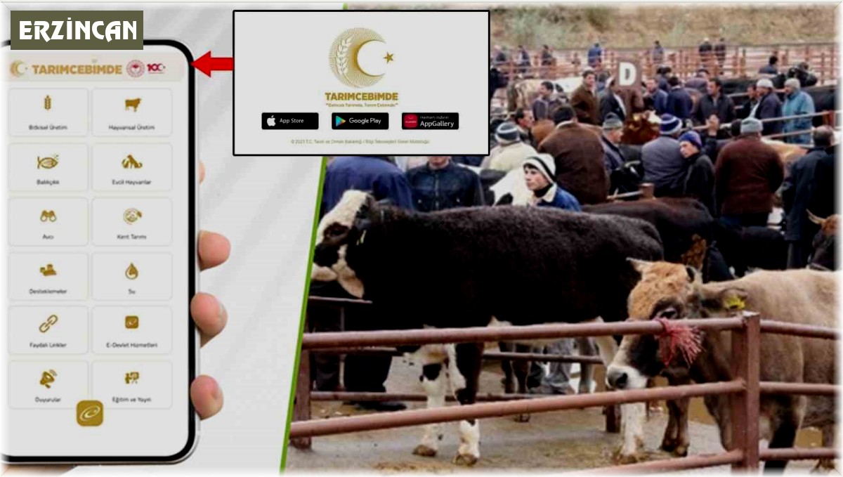 "Tarım Cebimde" ile 3 adımda kurbanlık sorgulama