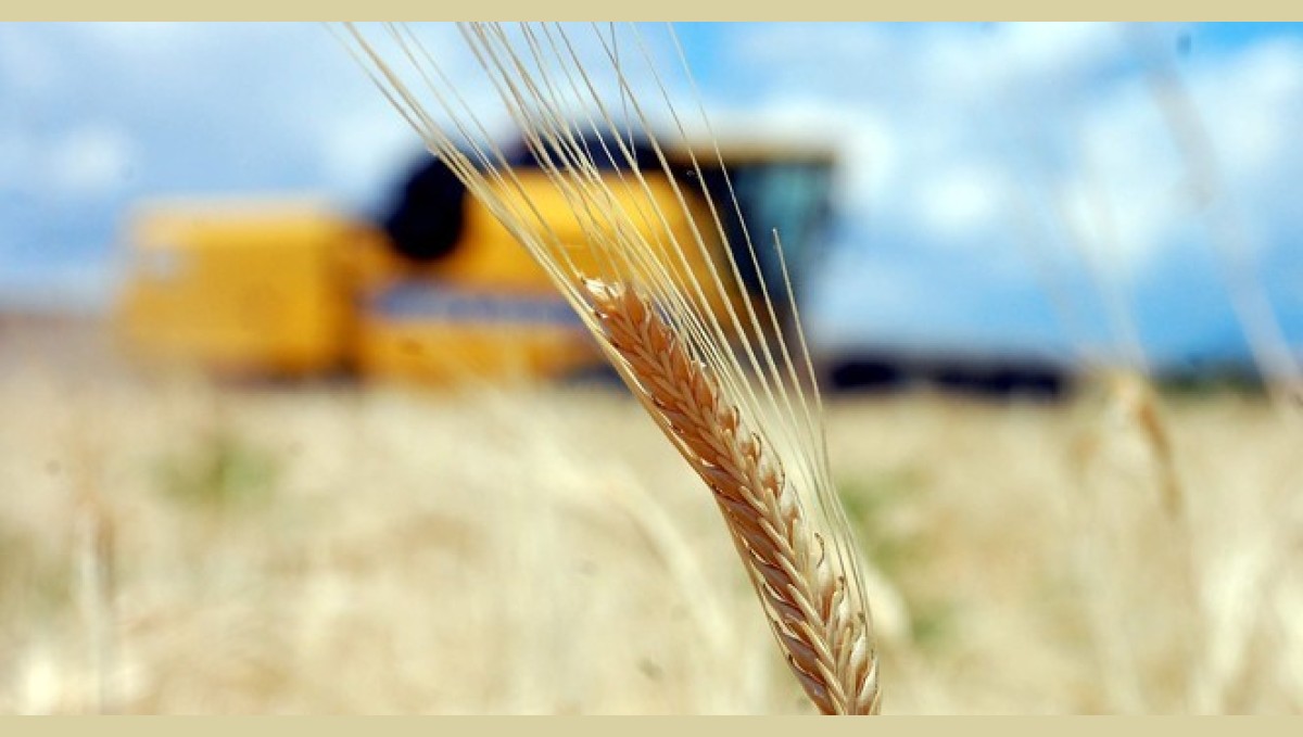 Tarım-GFE yıllık yüzde 28,92 arttı