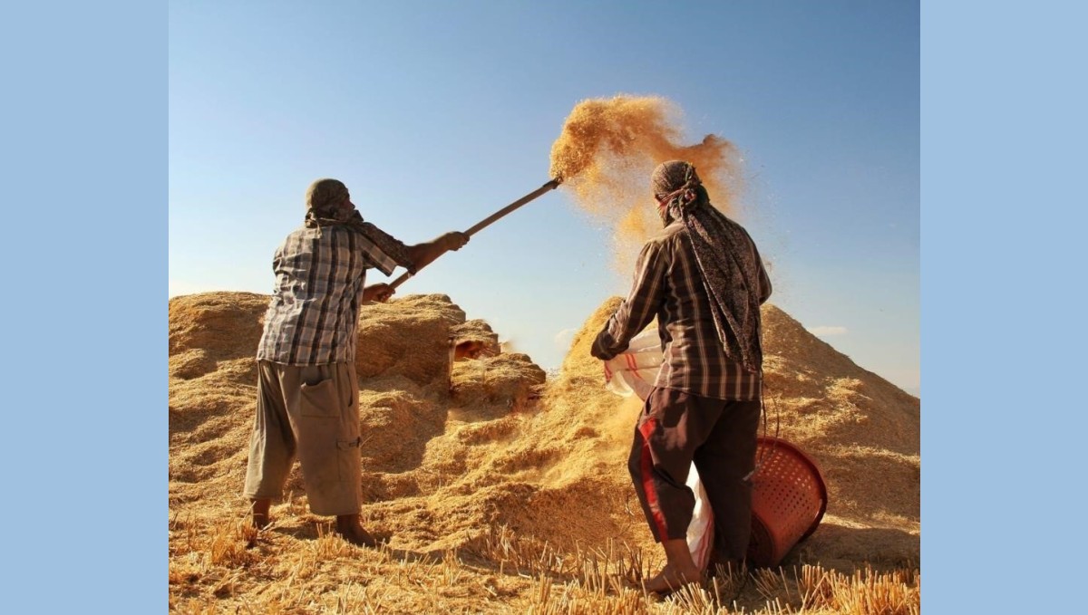 Tarım-GFE yıllık yüzde 34,22 arttı