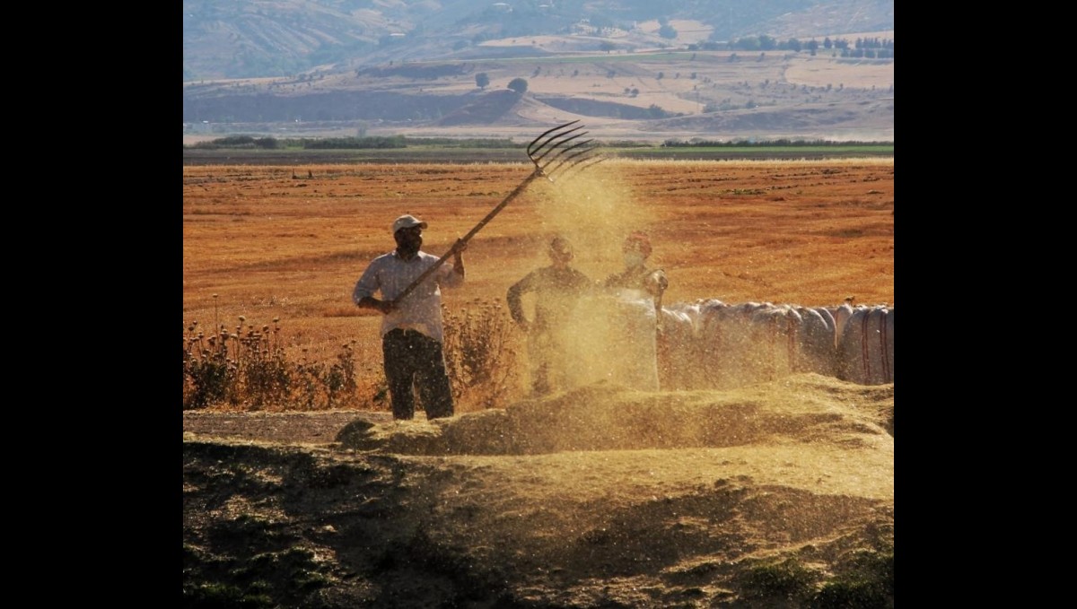 Tarım-GFE yıllık yüzde 34,60 arttı