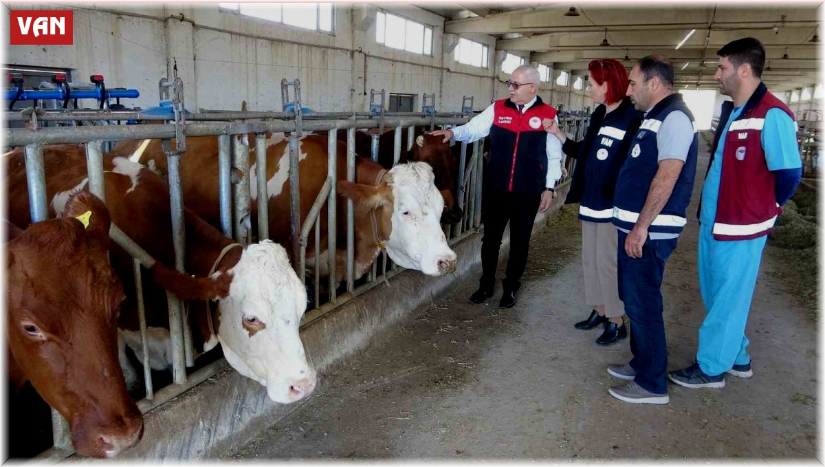 Tarım Müdürü Görentaş: "İthal hayvanlar ilimiz açısından büyük bir kazançtır"