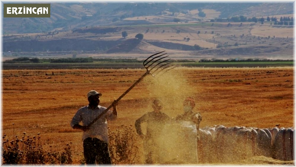 Tarım-ÜFE Nisan'da yıllık yüzde 60,77 arttı