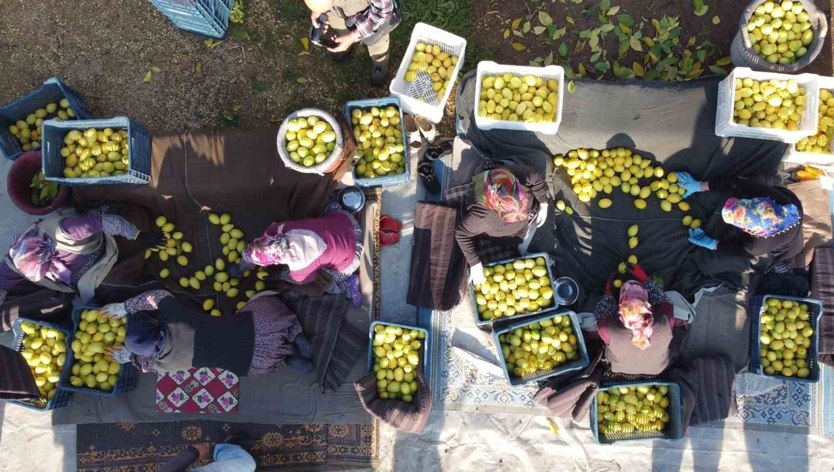 Tarım-ÜFE yıllık yüzde 40,10 arttı