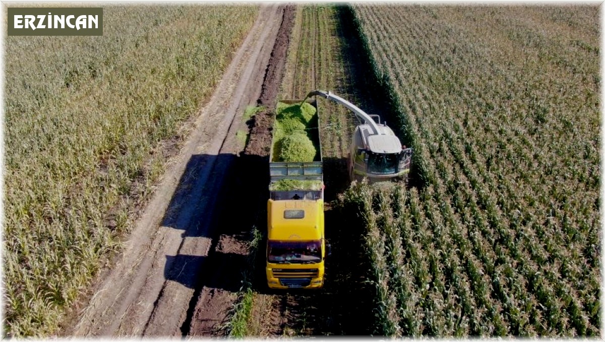 Tarım-ÜFE yıllık yüzde 71,96 arttı