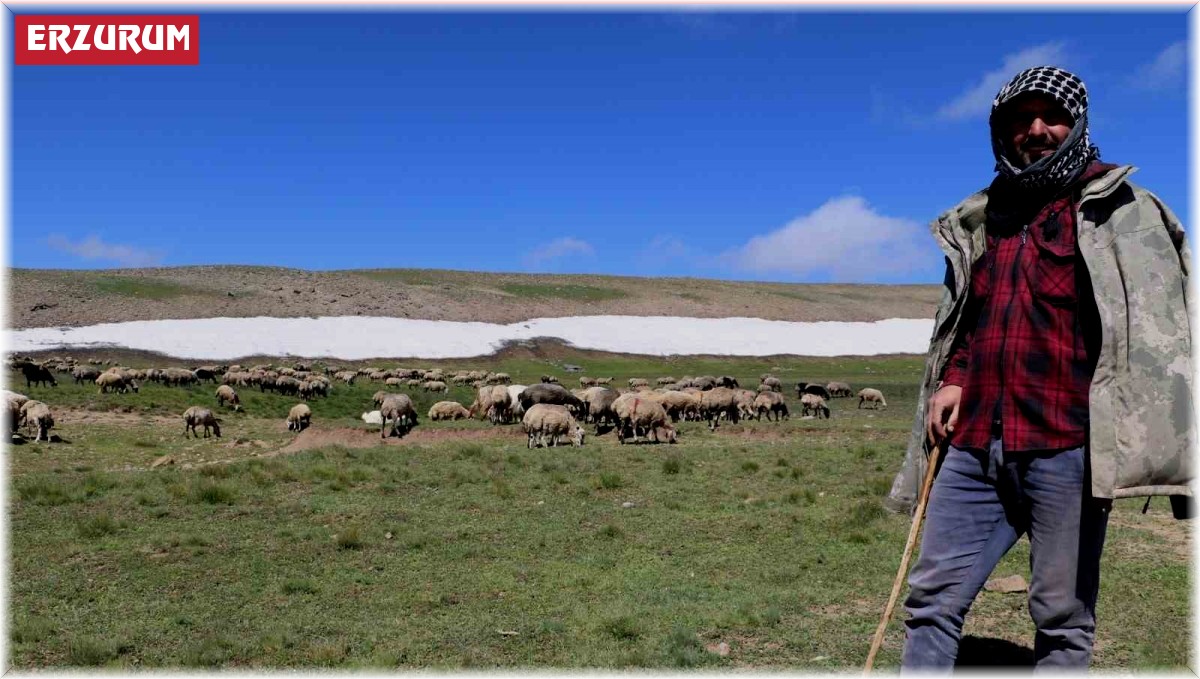 Tarımda örgütlü üretim önemli