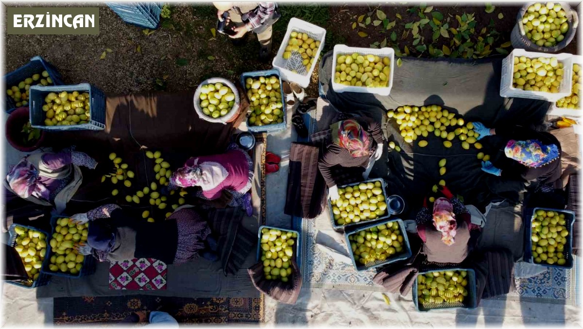 Tarımda üretici enflasyonu şubatta yüzde 58,29 oldu