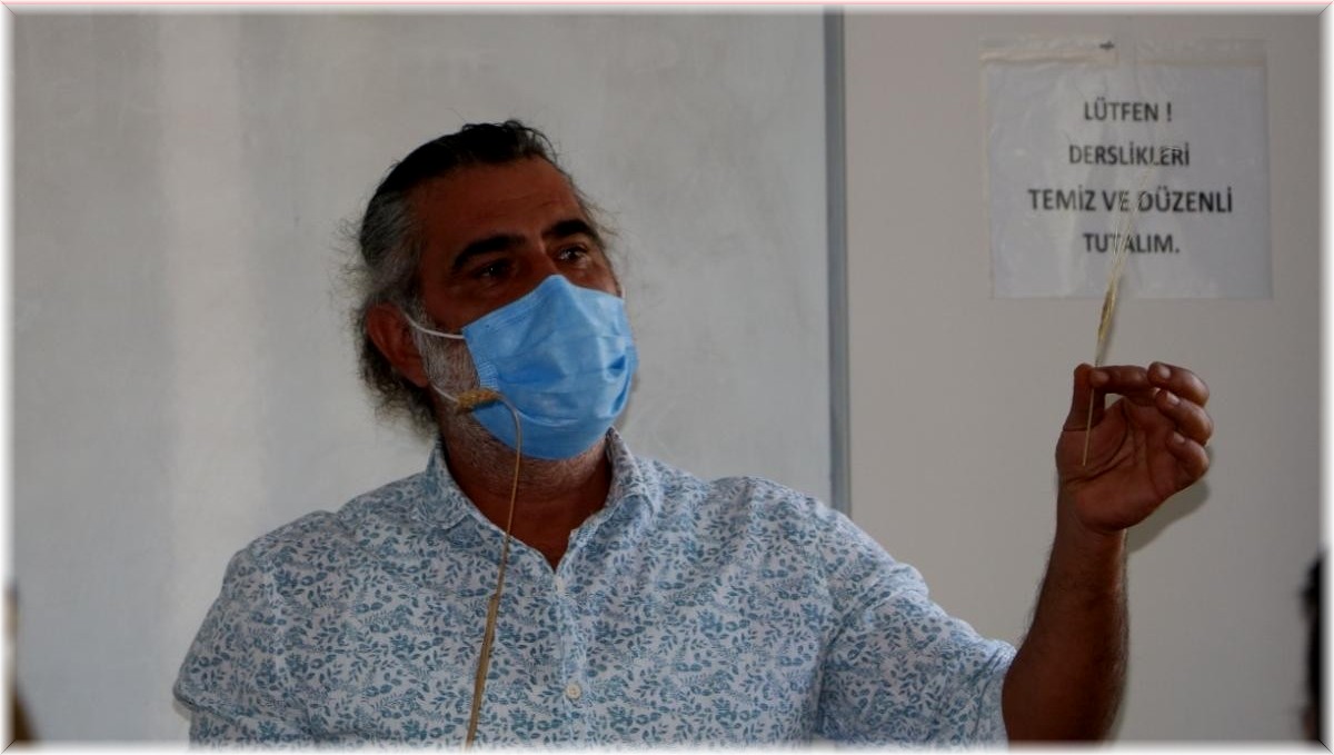 Tarımı ilk yapılan bitkiler germik ve siyez buğdayı