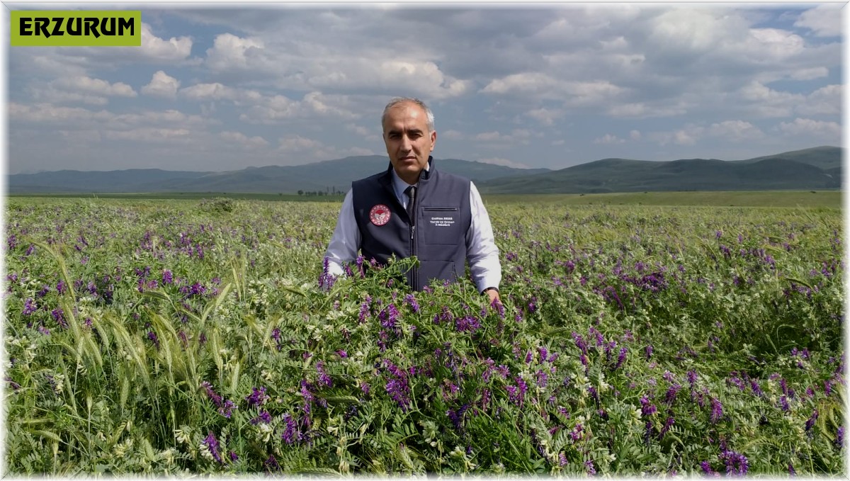 Tarımsal desteklemelerde rekor