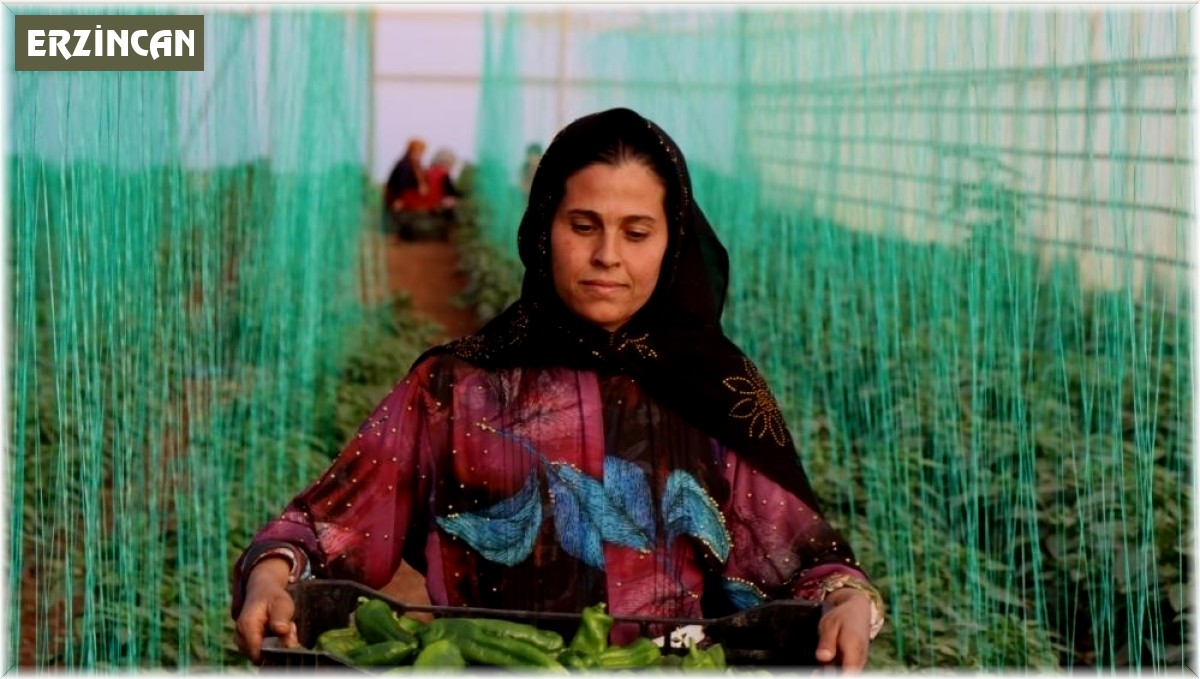 Tarımsal girdi enflasyonu ocakta yüzde 45,11 oldu