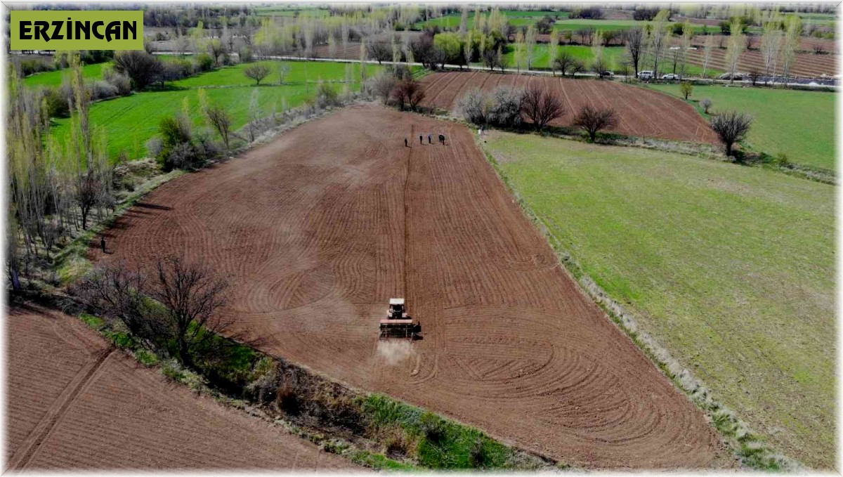 Tarımsal girdi fiyat endeksi yıllık yüzde 117,31, aylık yüzde 7,45 arttı