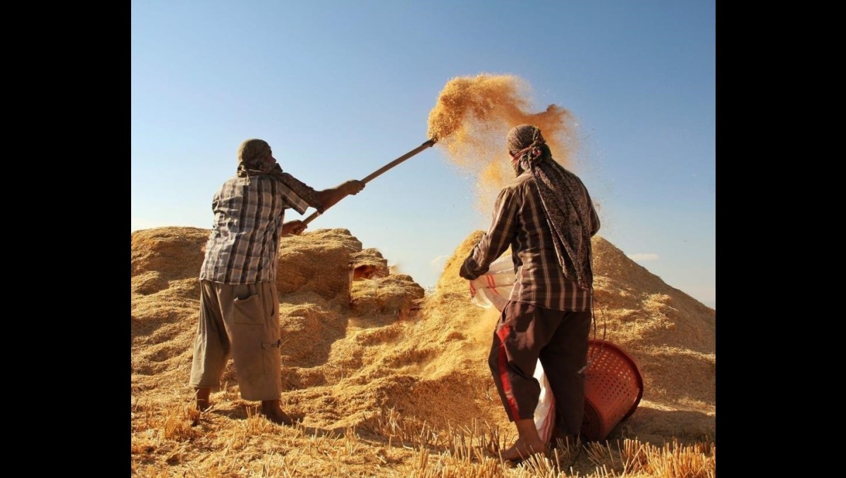 Tarımsal girdi fiyat endeksi yıllık yüzde 32,59 arttı