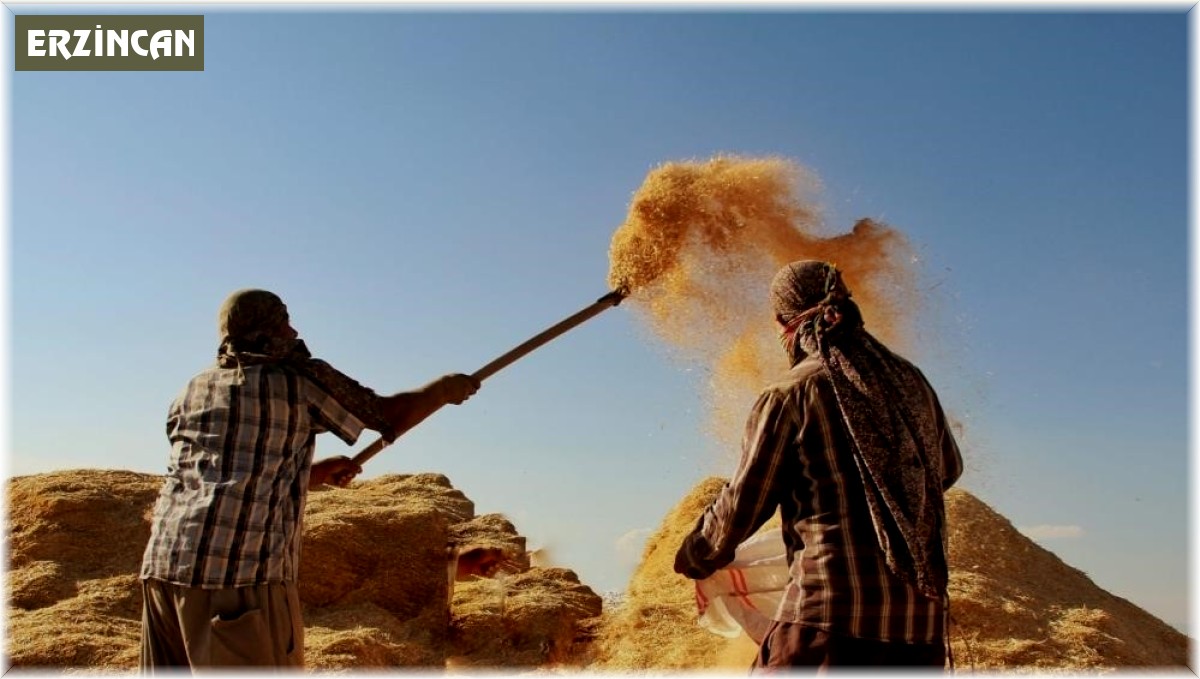 Tarımsal girdi fiyat endeksi yıllık yüzde 34,32, aylık yüzde 6,56 arttı