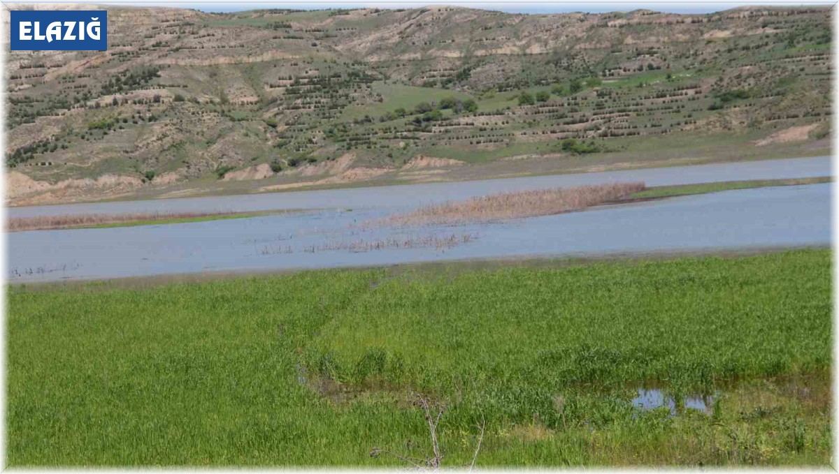 Tarımsal sulama ücretlerinin yüzde 50'si devlet tarafından karşılanacak