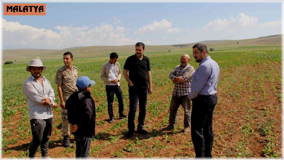 Tarlada mevsimlik işçilerle hasbihal