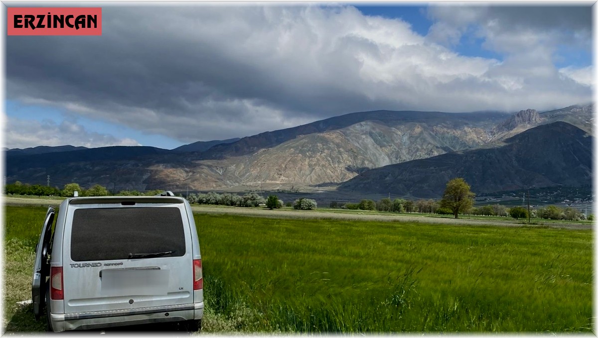 Tarlaya kaçan araç içerisinden 5 kaçak göçmen yakalandı