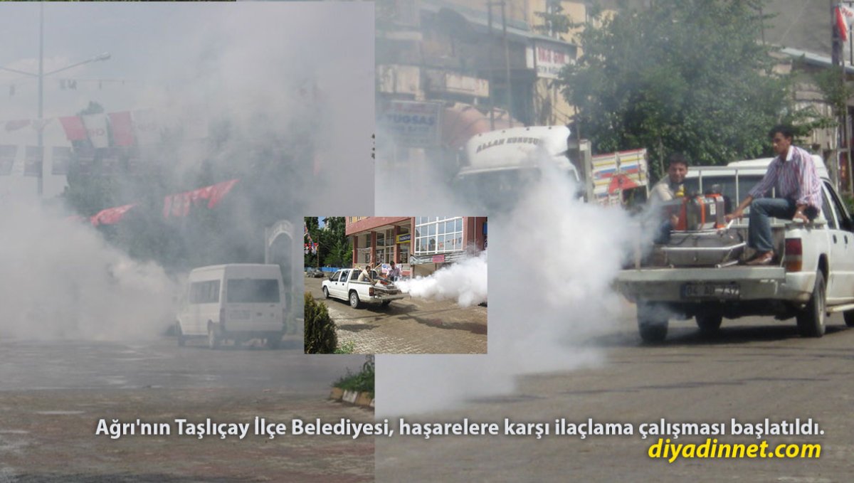 Taşlıçay'da İlk Kez Sinekle Mücadele Başladı: Tüm Sokaklar İlaçlanıyor