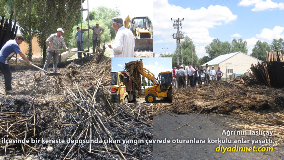 Taşlıçay'da Korkutan Yangın: Kereste Deposunda Büyük Hasar
