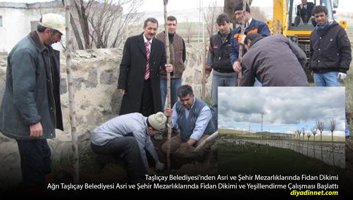 Taşlıçay'da Mezarlıklara Fidan Dikildi: Sırada Araç ve Yürüyüş Yolları Var