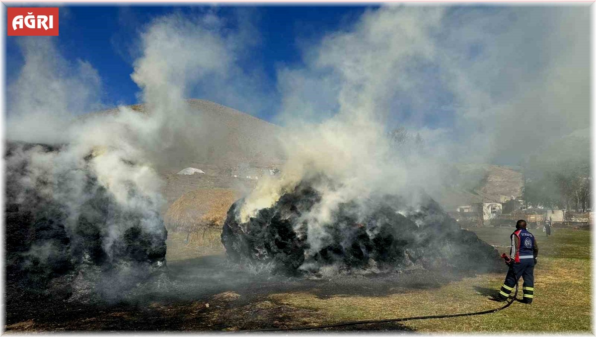 Taşlıçay'da ot yangını