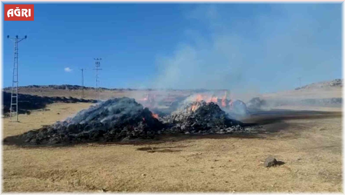 Taşlıçay'da ot yangını