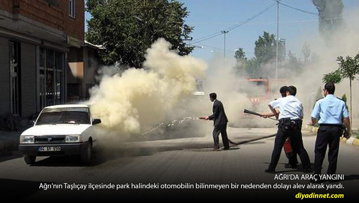 Taşlıçay'da Park Halindeki LPG'li Otomobil Alev Alev Yandı