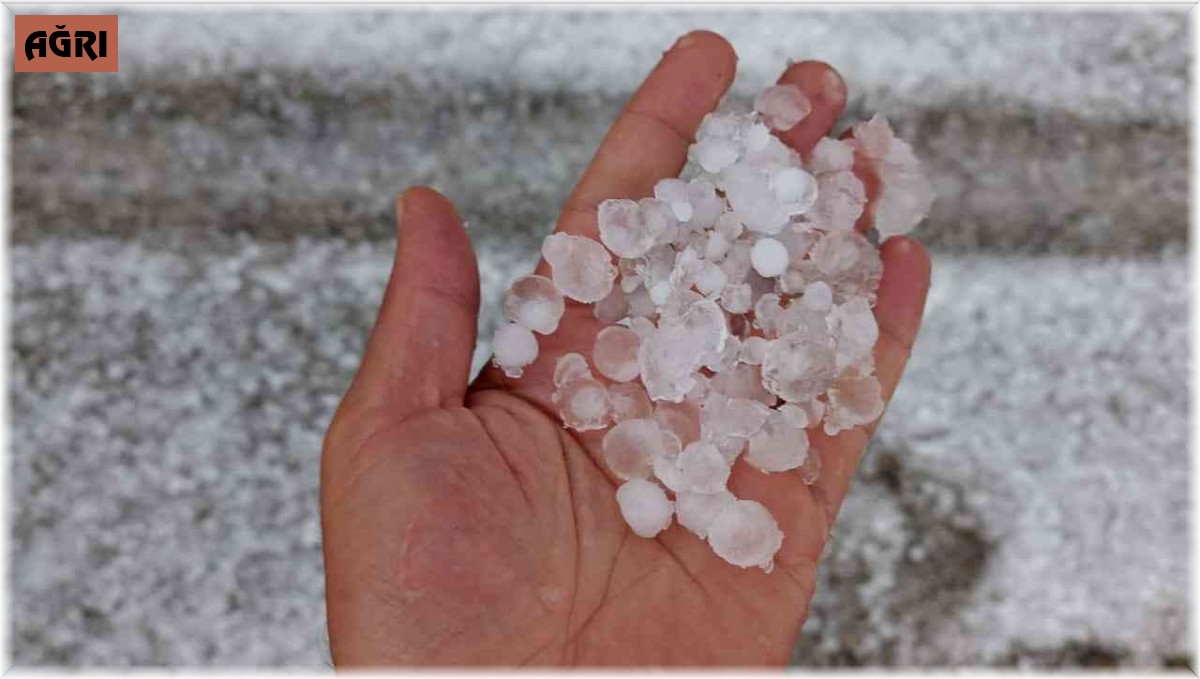 Taşlıçay'ı dolu vurdu