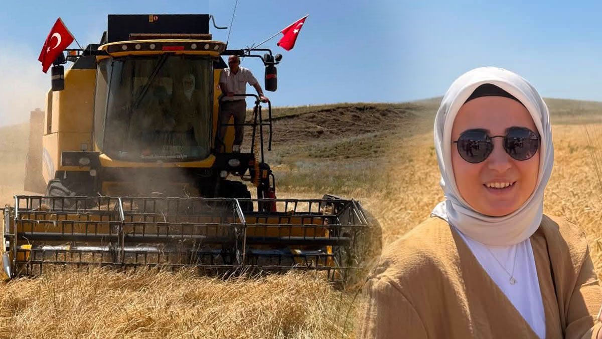 Taşlıçay Kaymakamı Kübra Baka Kılıç Tarlaya İndi, Arpa Hasadına Katıldı