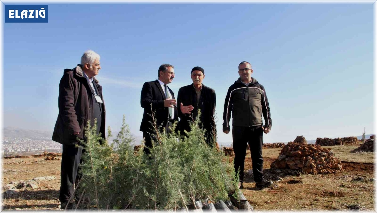 Taşlık araziyi ormana çevirmişti: Yetkililer teşekkür edip fidan desteğinde bulundu