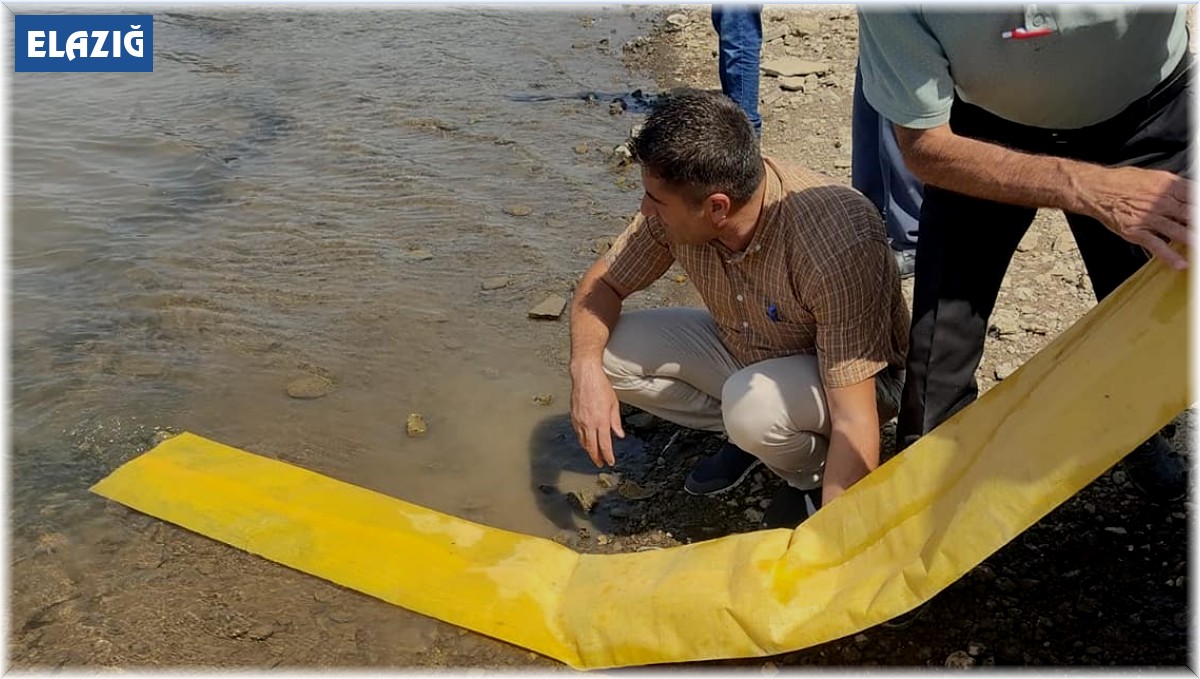 Tatar baraj gölüne 200 bin pullu sazan bırakıldı