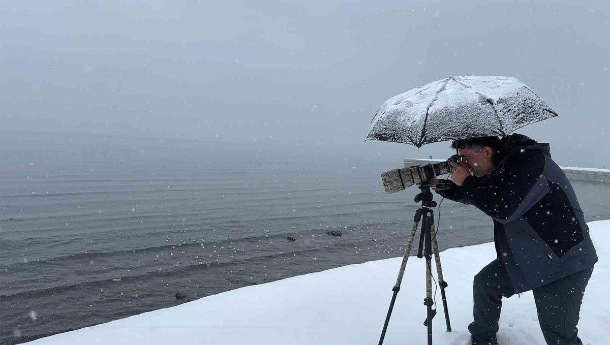 Tatvan'a kış ortasında kuş akını