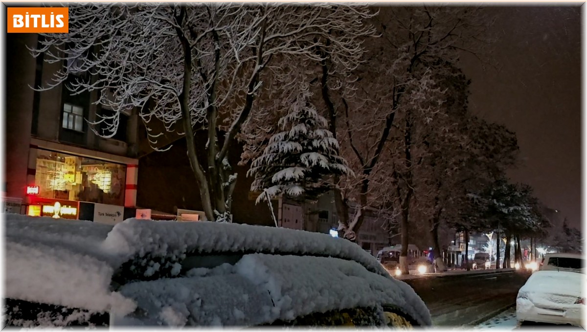 Tatvan'da 4 köy yolu ulaşıma kapandı