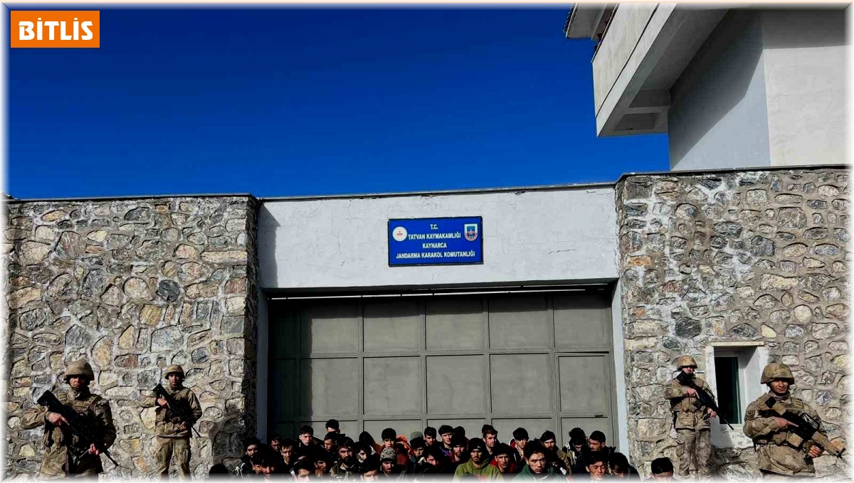 Tatvan'da 50 düzensiz göçmen yakalandı