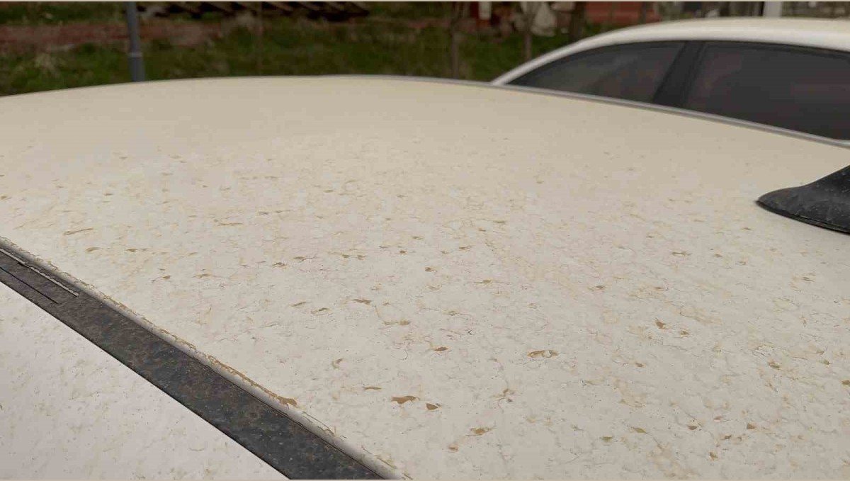 Tatvan'da araçlar çamurla kaplandı