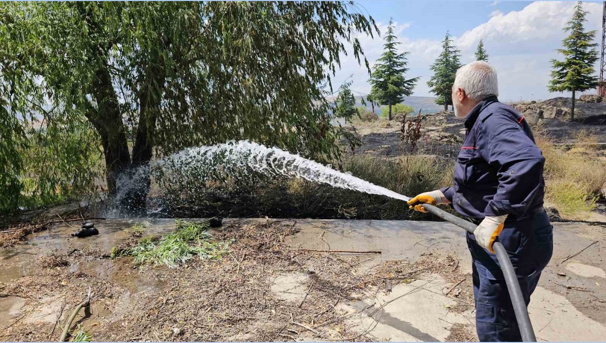 Tatvan'da çıkan yangında 50 dönümlük alan küle döndü