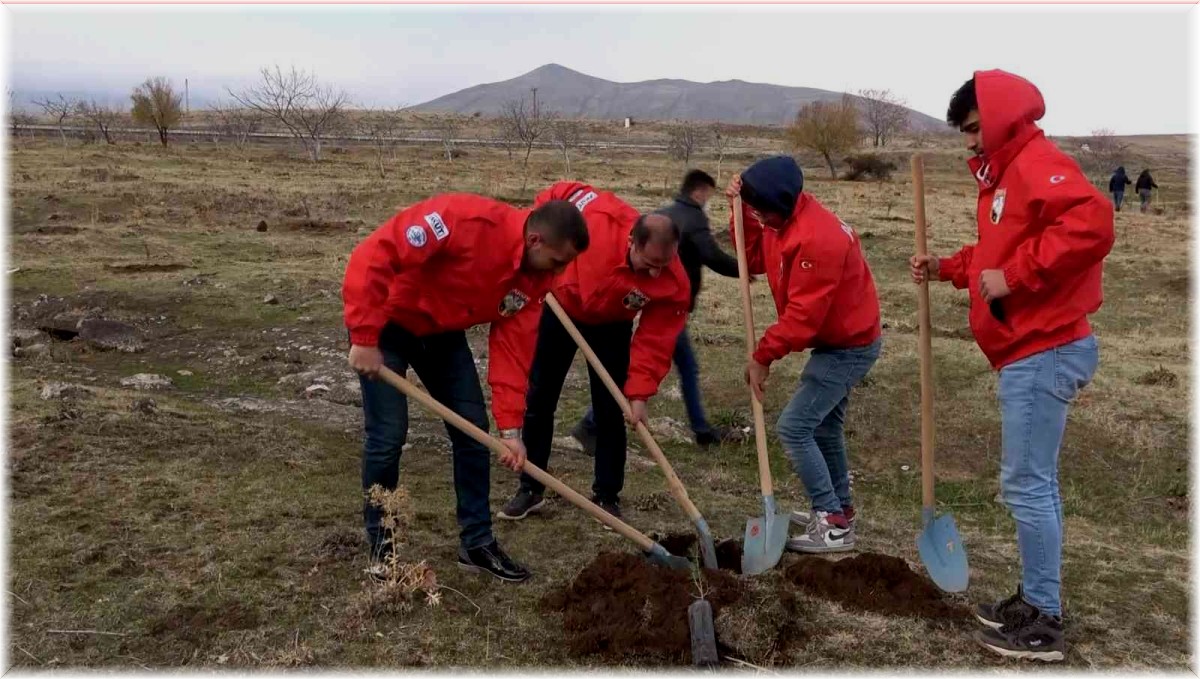 Tatvan'da fidan dikimi