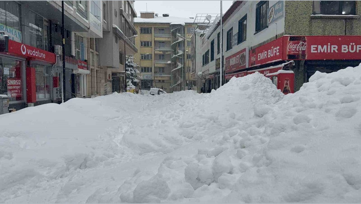 Tatvan'da gök gürültülü kar yağışı