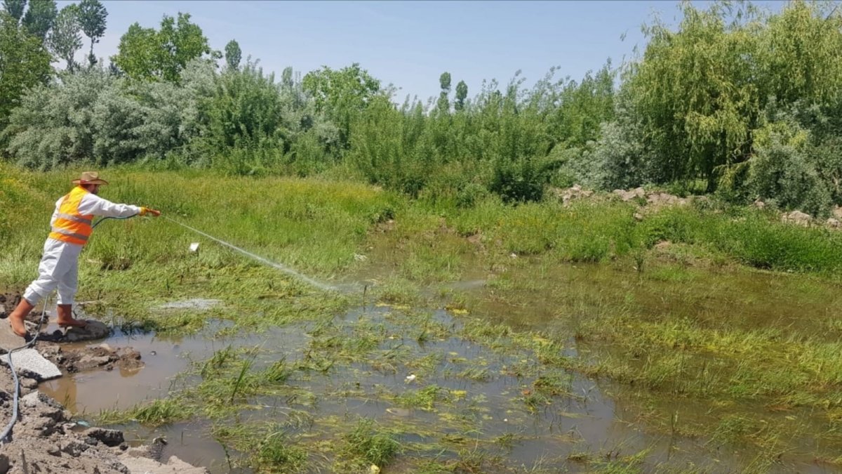 Tatvan'da ilaçlama çalışması