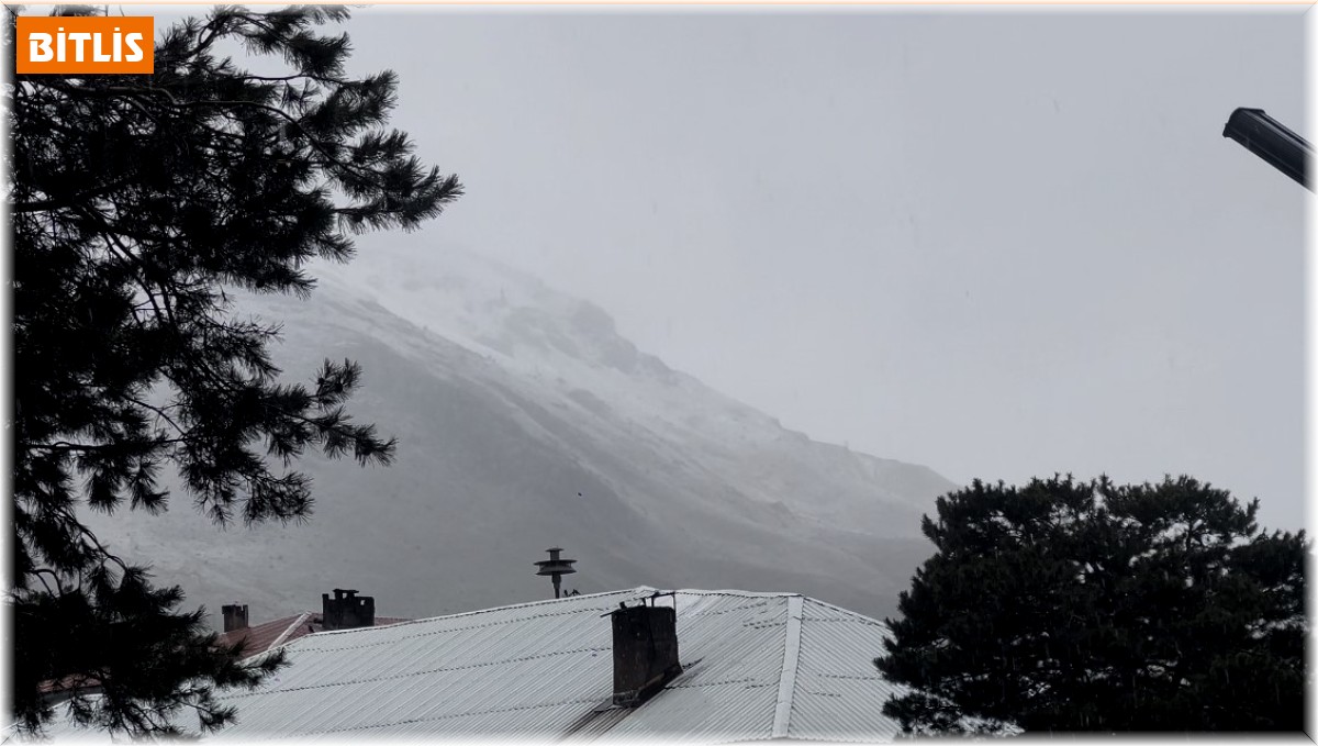 Tatvan'da kar yağışı