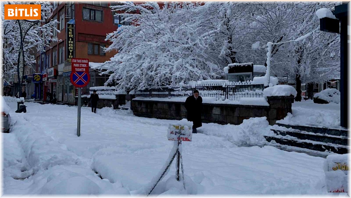 Tatvan'da kar yağışı