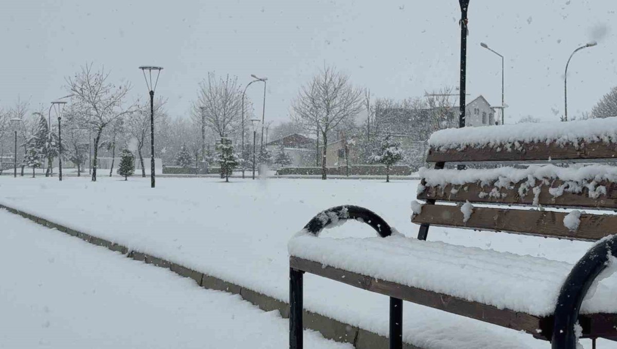 Tatvan'da kar yağışı