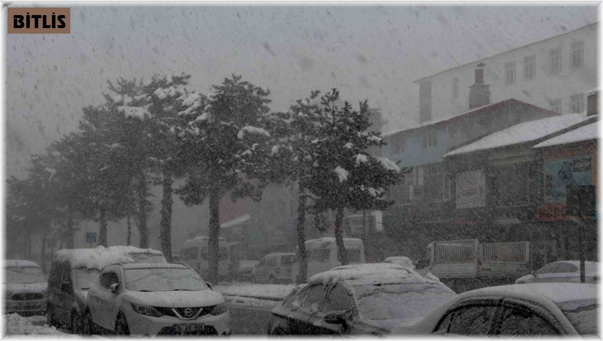 Tatvan'da kar yağışı