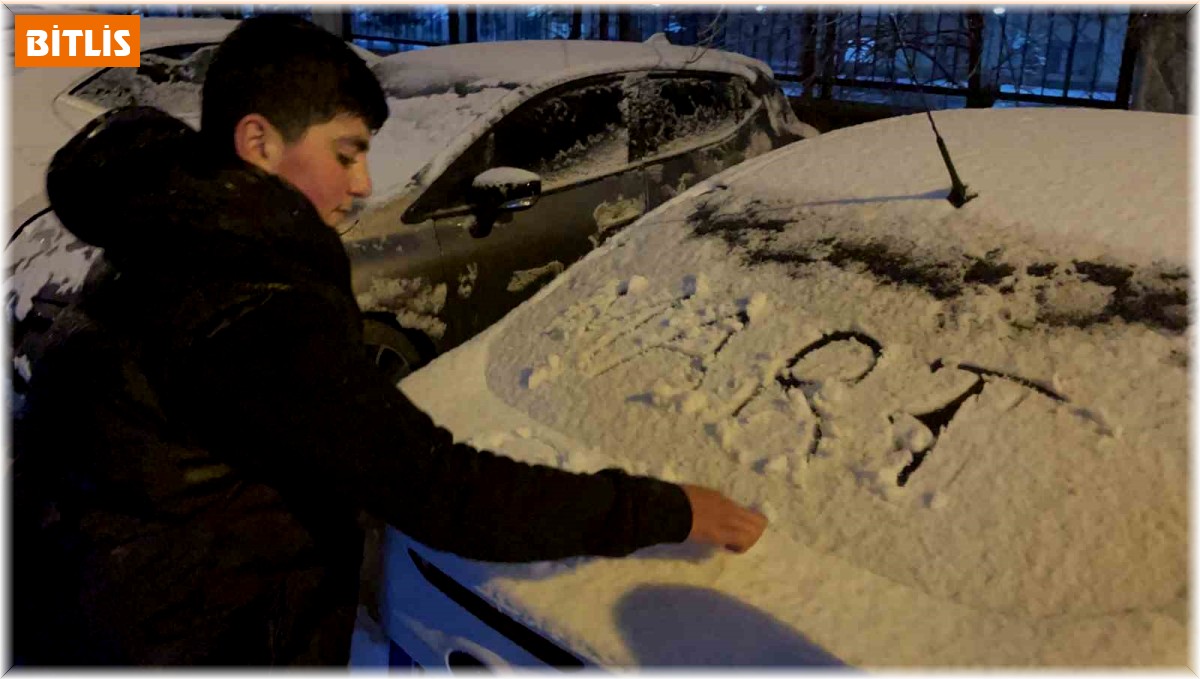 Tatvan'da kar yağışı etkili oldu
