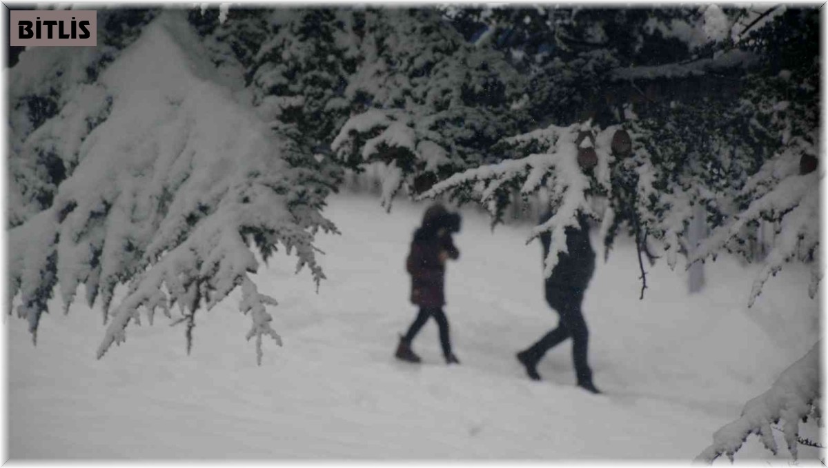 Tatvan'da kar yeniden etkisini gösterdi
