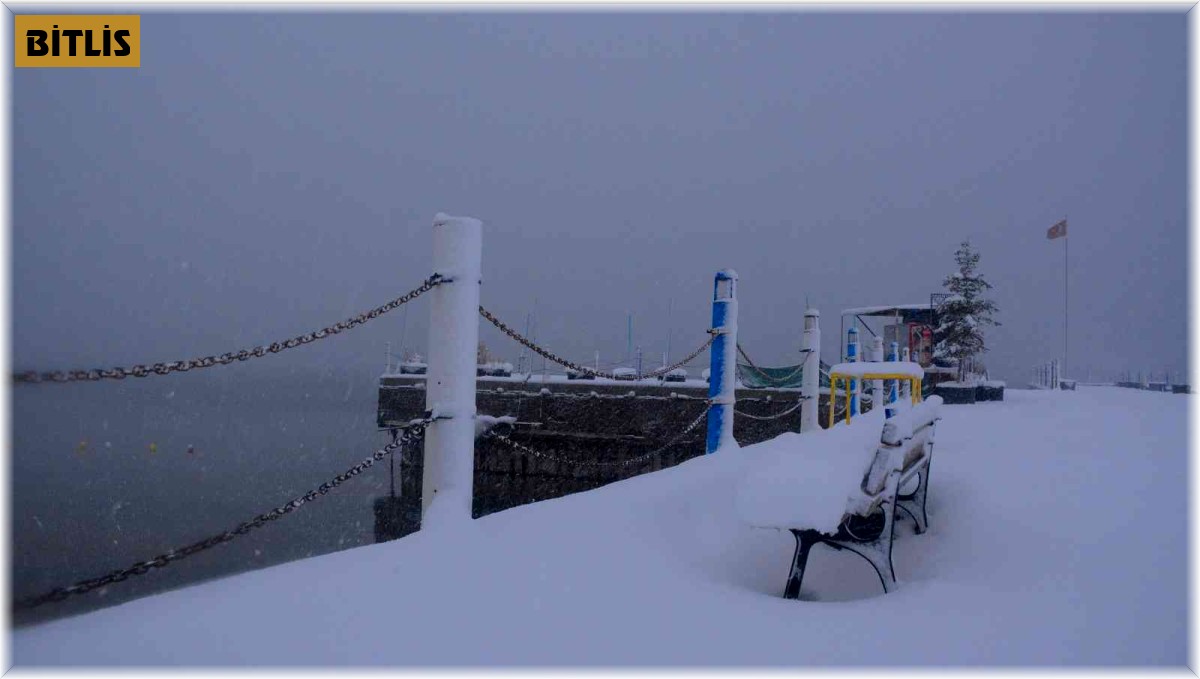 Tatvan'da kartpostallık kar manzaraları