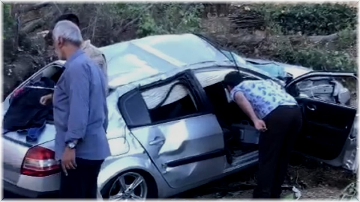 Tatvan'da kontrolden çıkan araç kaza yaptı : 2 yaralı