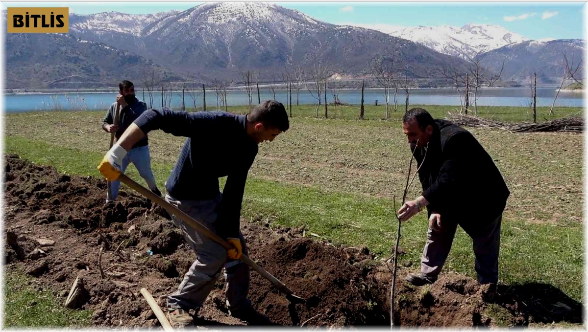 Tatvan'da meyve fidanları toprakla buluştu